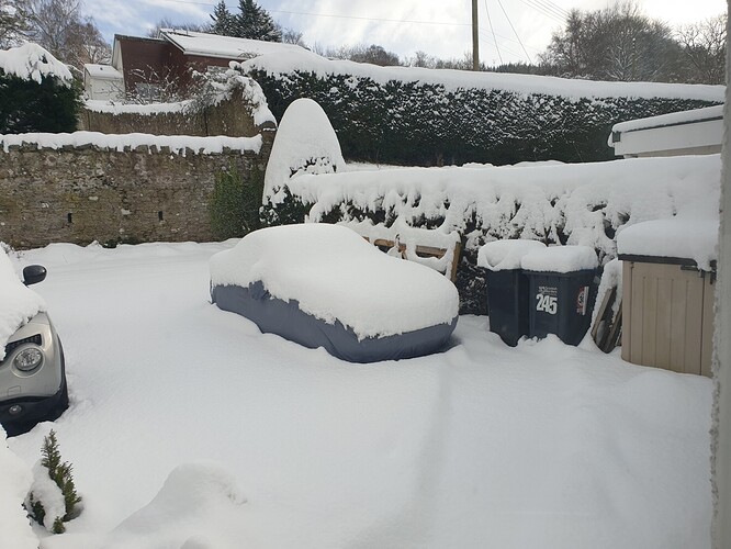 20210210_Mindy in the snow