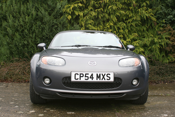 CP54 MXS plate