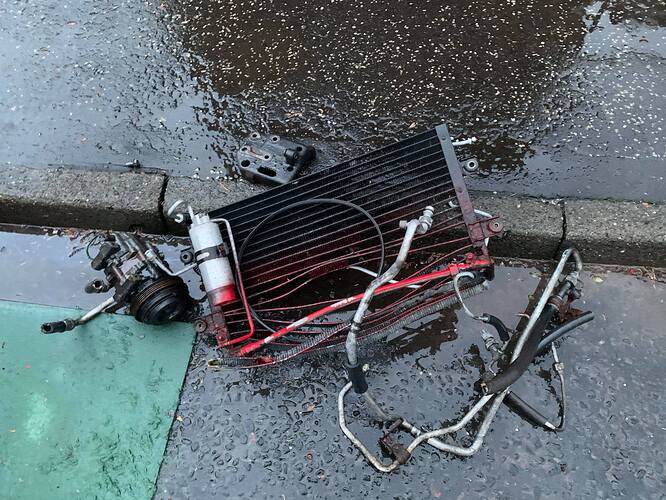 152461785_462155338273393_8991894741147461759_n