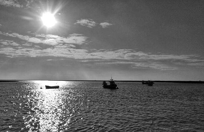 IMG_20220116_122537-01