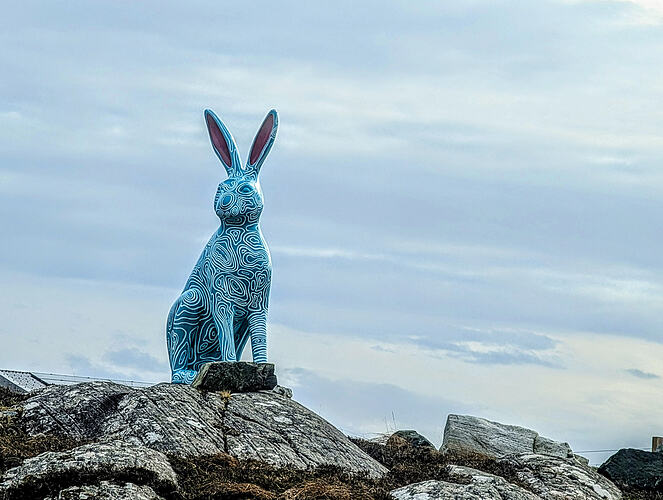 PXL_20260304_130112681.RAW-01.COVER~2