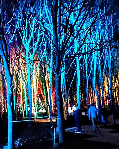 IMG_20251211_171325~2