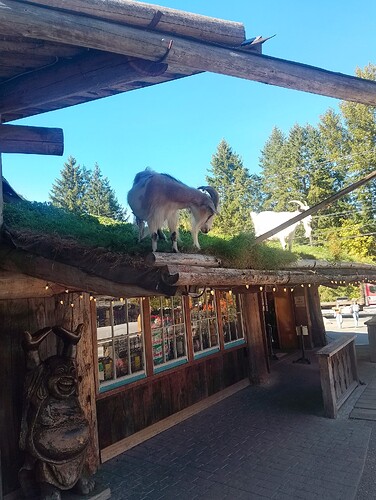 IMG_20250919_145639_HDR