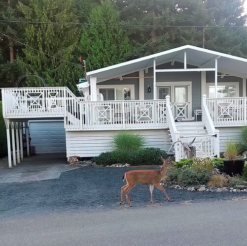 IMG_20250919_083252~2