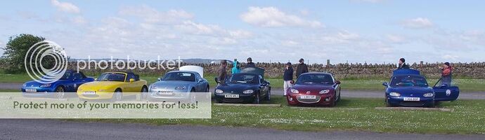 Holy Island cars
