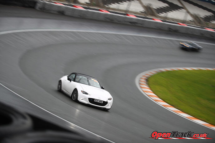 54957557788_ff779fa785_o