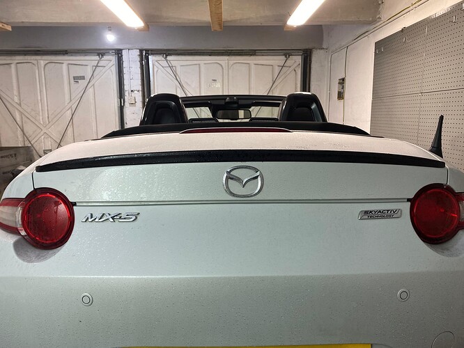 WhatsApp Image 2025-02-04 at 20.11.02