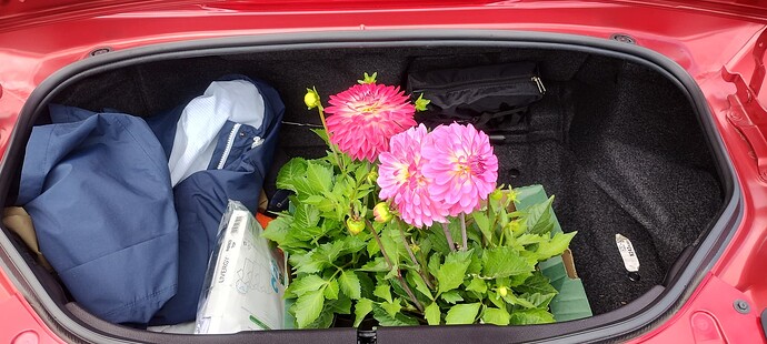 IMG_20250805_132633221_HDR