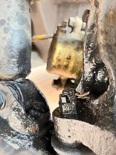 WhatsApp Image 2024-10-24 at 12.21.34 AM (1)