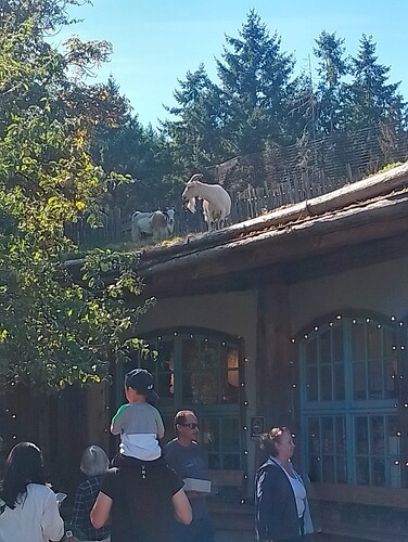 IMG_20250919_143643_HDR