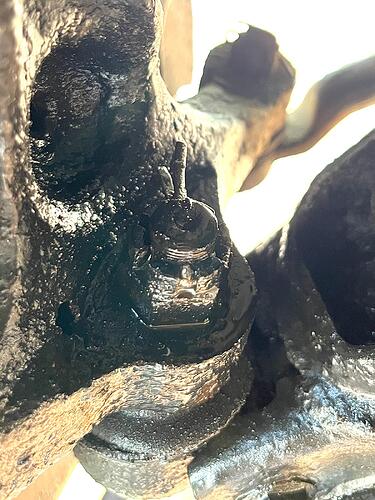 WhatsApp Image 2024-10-24 at 12.21.34 AM