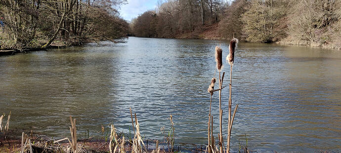 IMG_20260311_104833454_HDR