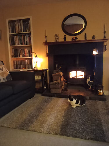 20230121_163238_mfnr