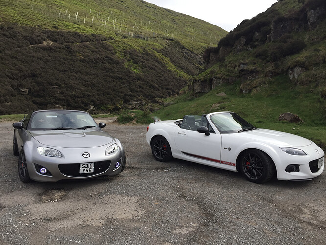 4025C23C-1E3C-4080-9AB0-0E1D8ECABAB4_1_201_a