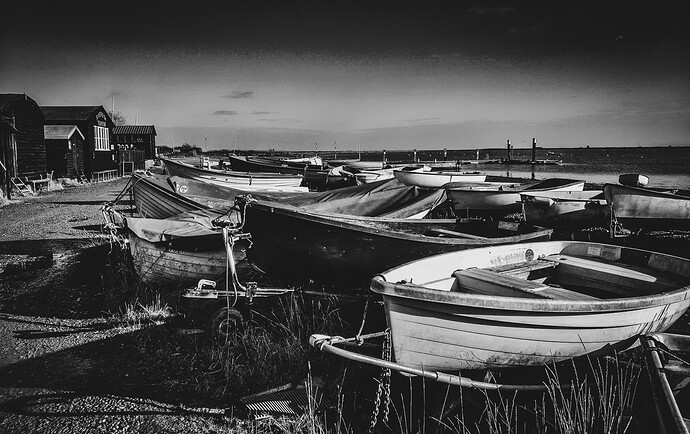 IMG_20220116_122840-01