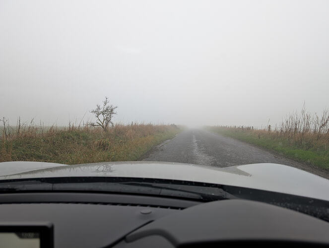 PXL_20251105_120258394