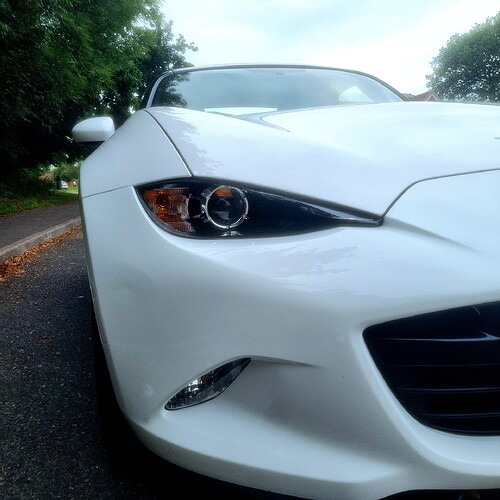 e4212bb6-635e-4291-a36a-9e9e778538ab-1_all_31986