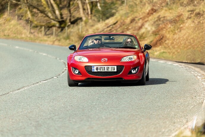 Roadrunner_SnakePass09.03.25-1646-2 blurJPG