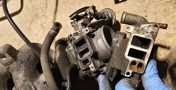 20241211_163042-scaled-e1734026467901