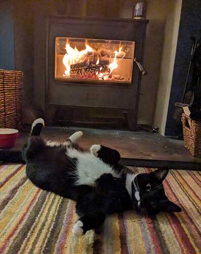 ee70ba1b-1029-4c5e-81f8-4b89380ebdf3-1_all_17986