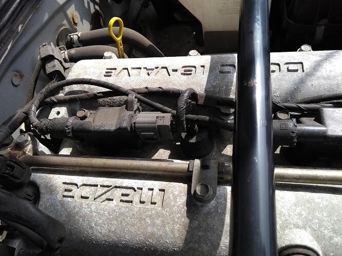 maz18