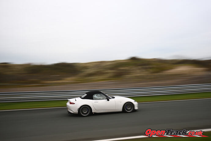 54956474552_48608c0249_o