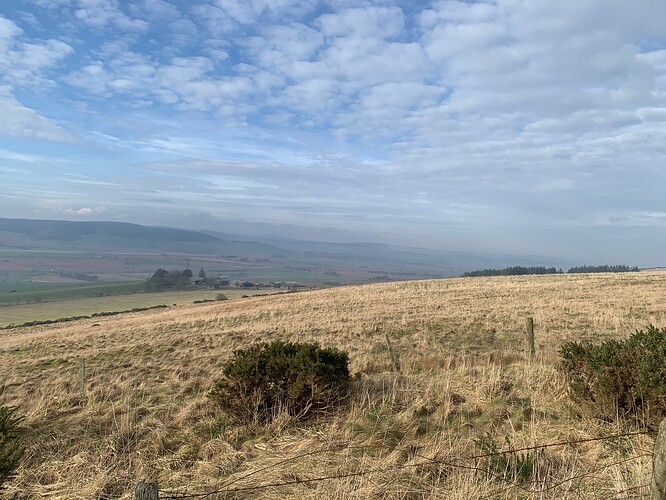 20250308_151709681_iOS