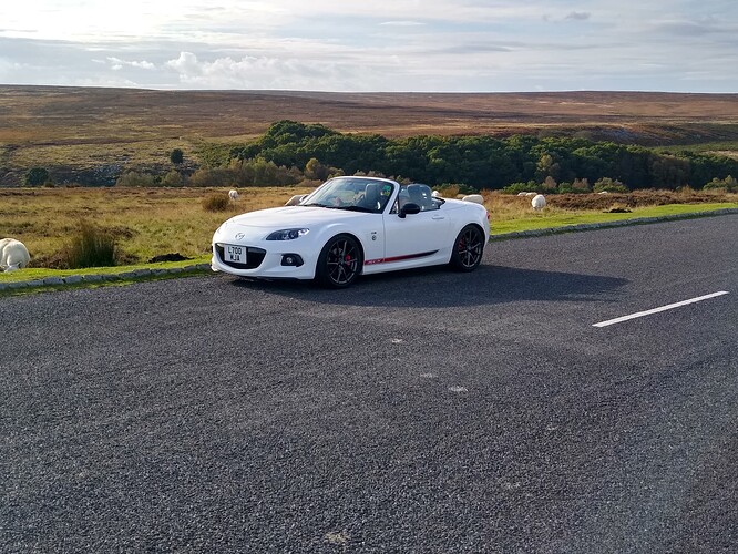 IMG_20211011_153801829_HDR