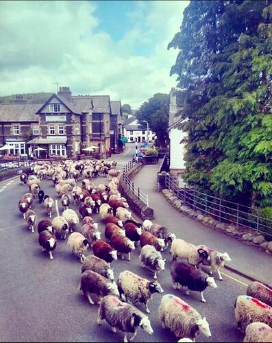 PHOTO-2023-06-16-18-54-21