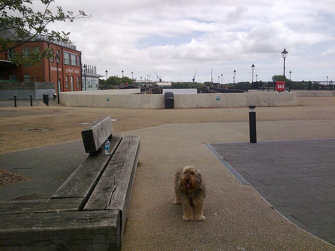 Image0131