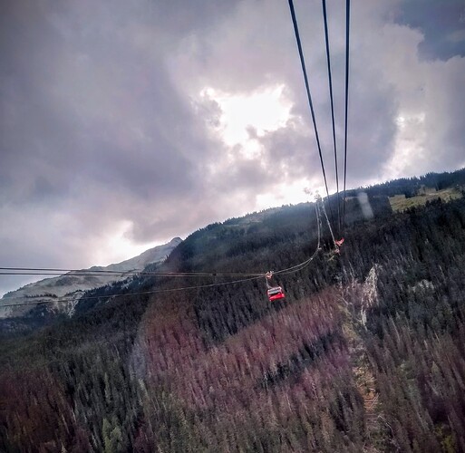 IMG_20250920_160241_HDR~2