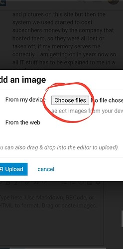 Screenshot_20210606-070941_Chrome