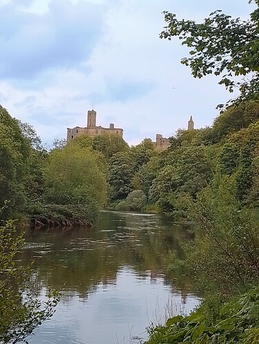 IMG_20250526_133515_HDR~2