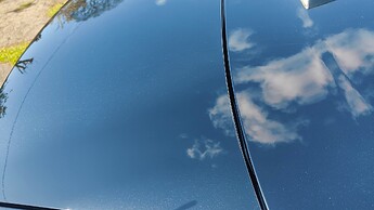 IMG20250330140331