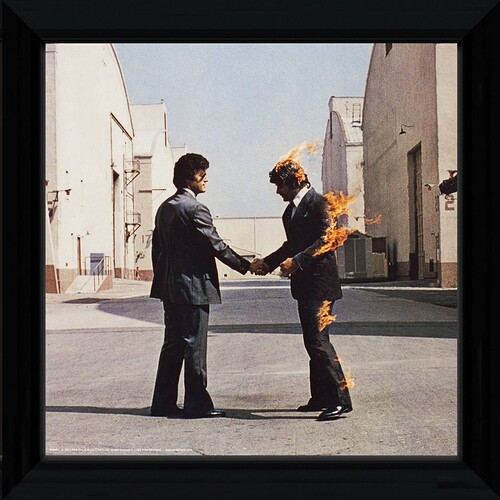pink-floyd-wish-you-were-here-framed-album-cover-1.11