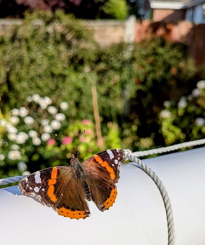 PXL_20250716_180129568~2