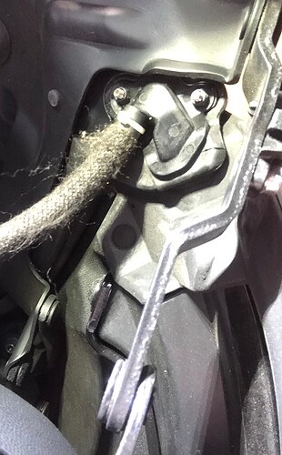 E9FC8E89-1120-4227-AF70-9C4C492EFD5D_1_201_a