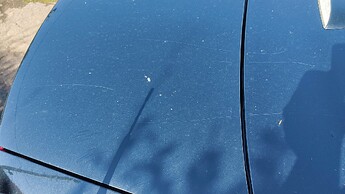 IMG20250330115048