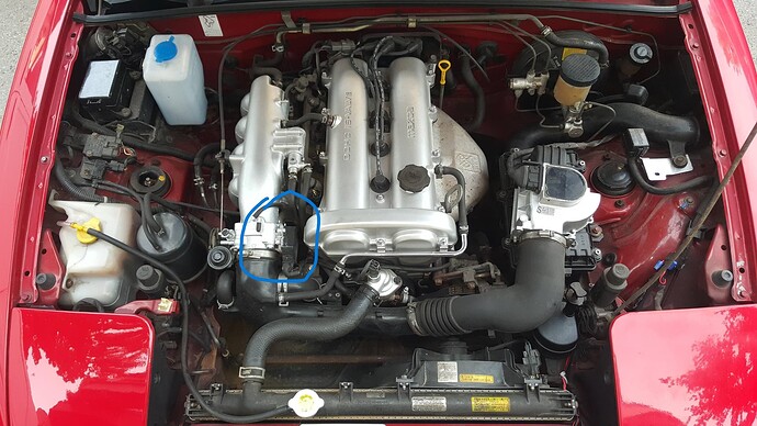 LWNgR2f1