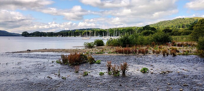 IMG_20250716_100242309_HDR~2