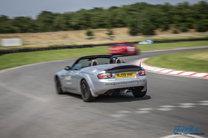 Tree Sisters 2 250624