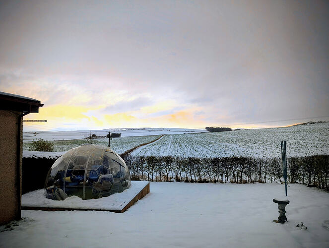 PXL_20251120_160100811~2