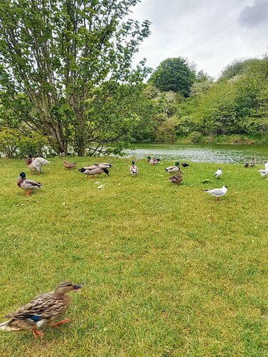 IMG_20250526_145442_HDR~2