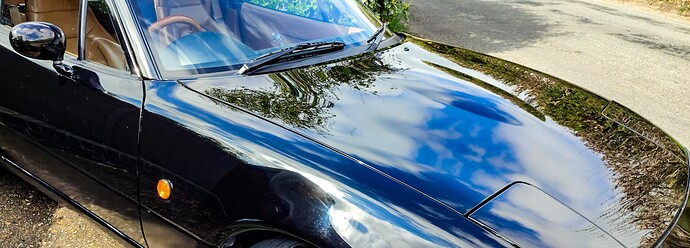 IMG_20220425_110908 (1)