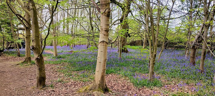 IMG_20250425_114710724_HDR~2