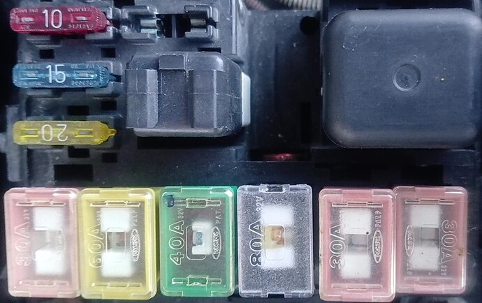 the yellow one bonnet