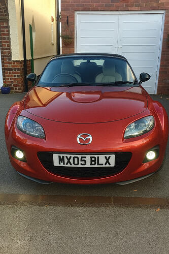 copilot_image_1768341511471