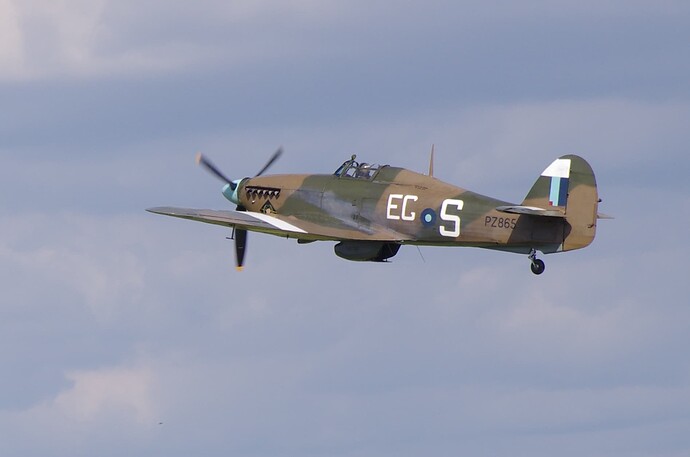 IMGP2220