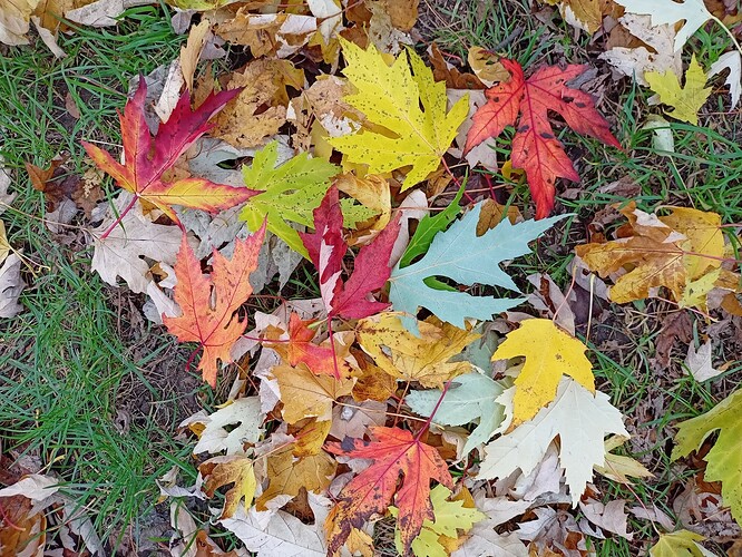 IMG20211120122227