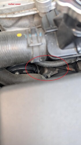 e65ad4cb-9991-4424-88b0-cc95b8b4a5a1